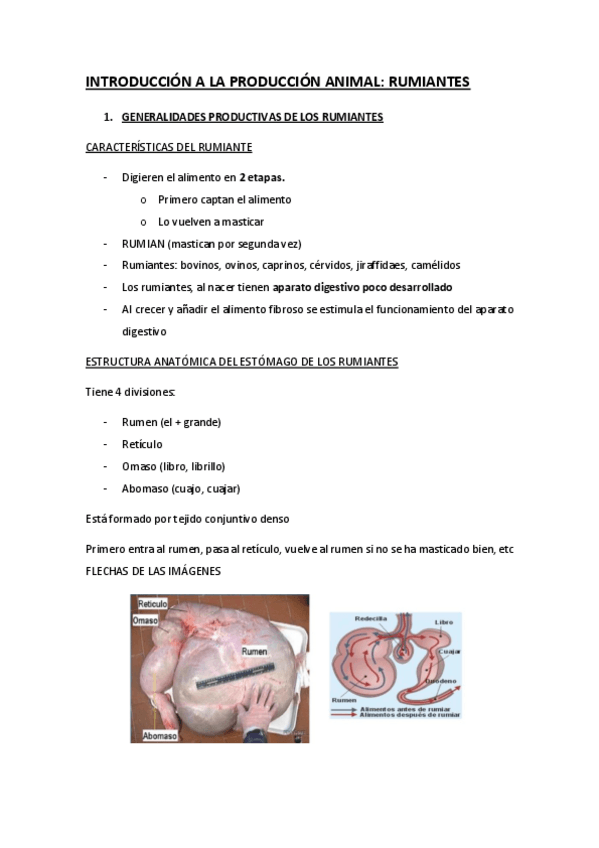 Miniatura del documento APUNTES-VACUNO-IPA.pdf