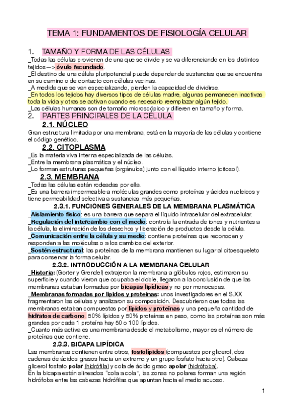 Miniatura del documento Apuntes-1er-Cuatrimestre.pdf