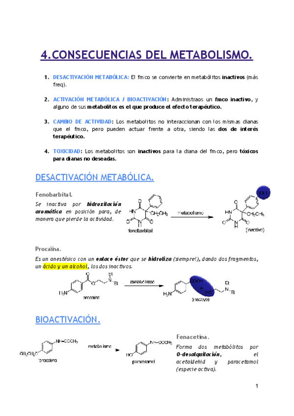 Miniatura del documento 04. CONSECUENCIAS DEL METABOLISMO.pdf