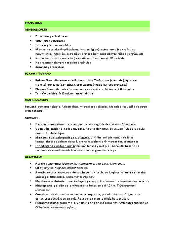 Miniatura del documento TEMARIO-COMPLETO.pdf