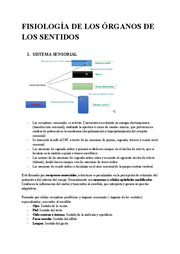 Miniatura del documento FISIOLOGIA-DE-LOS-ORGANOS-DE-LOS-SENTIDOS.pdf