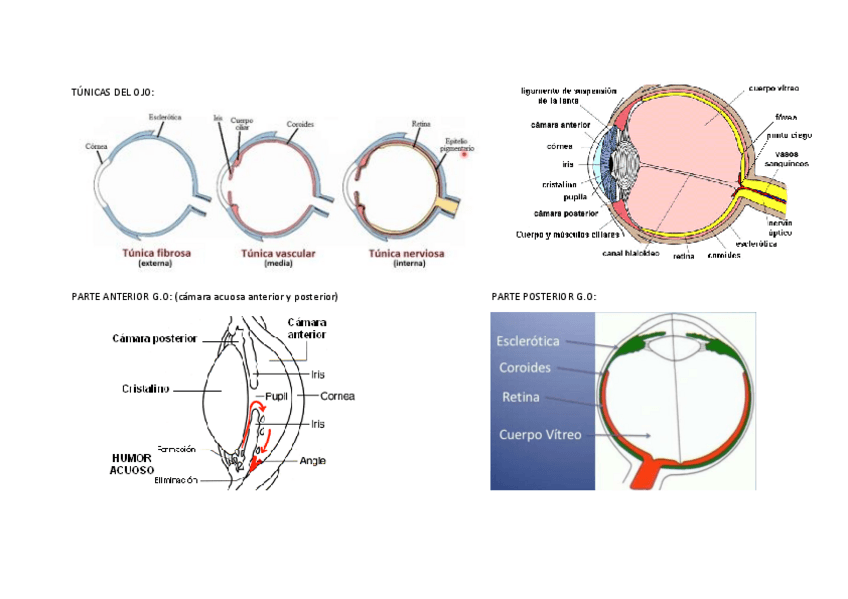 Miniatura del documento imagenes-sentidos-convertido.pdf