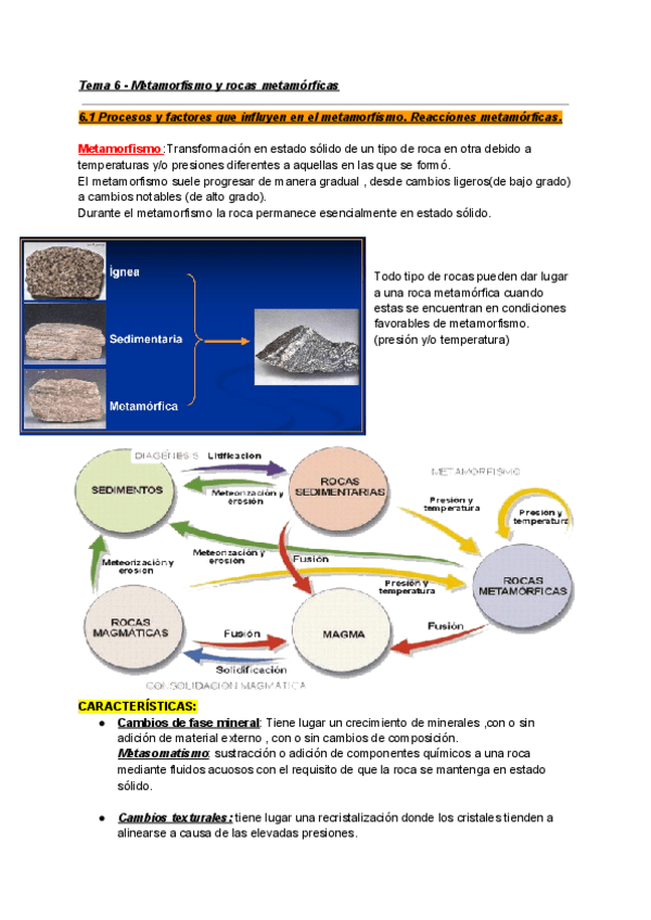 Miniatura del documento Copia-de-Tema-6-Metamorfismo-y-rocas-metamorficas.pdf