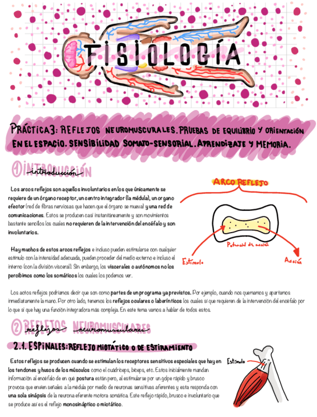 Miniatura del documento Fisiologia-Practica-3-y-4.pdf