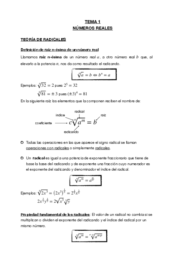 Miniatura del documento Radicalesf8d6be9a92f02df9add31cbc6955b687.pdf