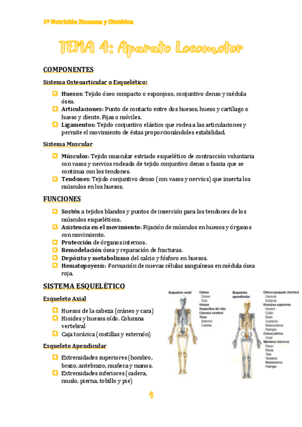 Miniatura del documento TEMA-4.pdf