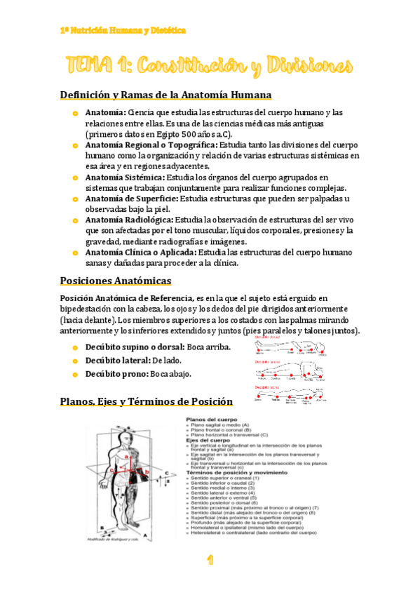 Miniatura del documento TEMA-1.pdf