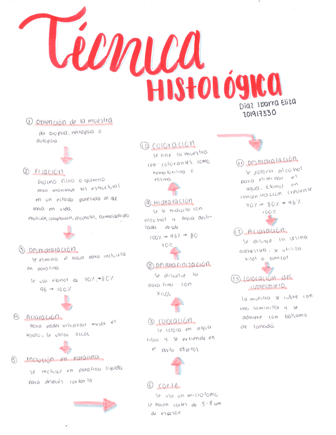 Miniatura del documento TAREA003.jpg