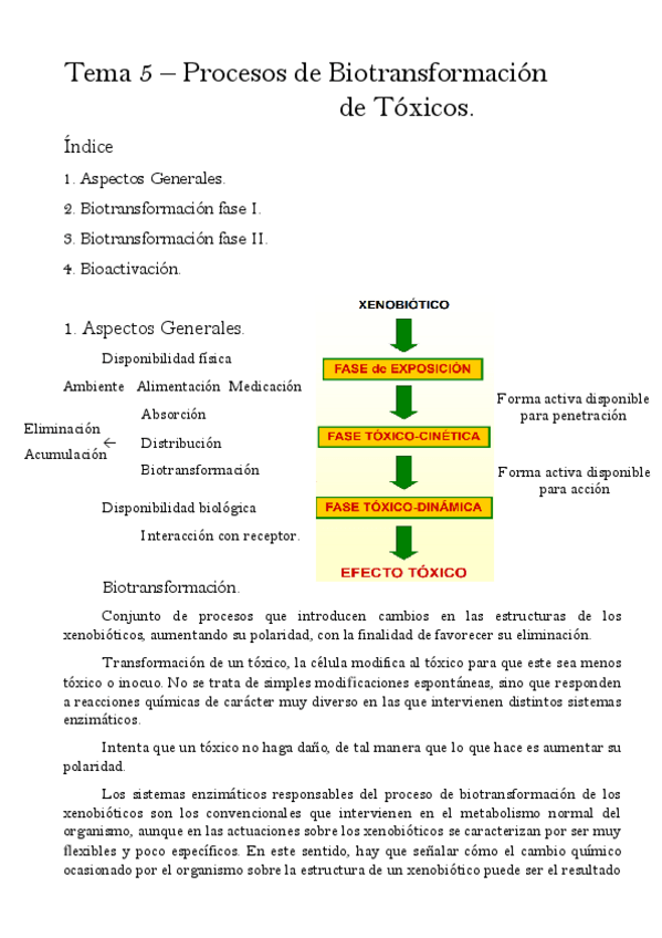 Miniatura del documento Tema-5.pdf