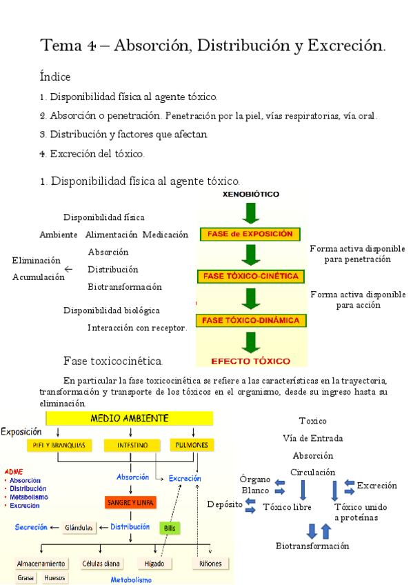 Miniatura del documento Tema-4.pdf