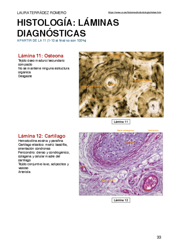 Miniatura del documento Practicas-histologia-LAMINAS-DIAG.pdf