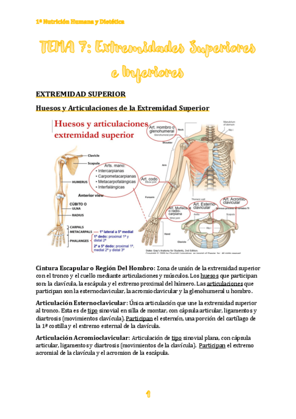 Miniatura del documento TEMA-7.pdf