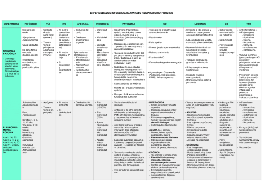 Miniatura del documento RESPIRATORIO-PORCINO.pdf