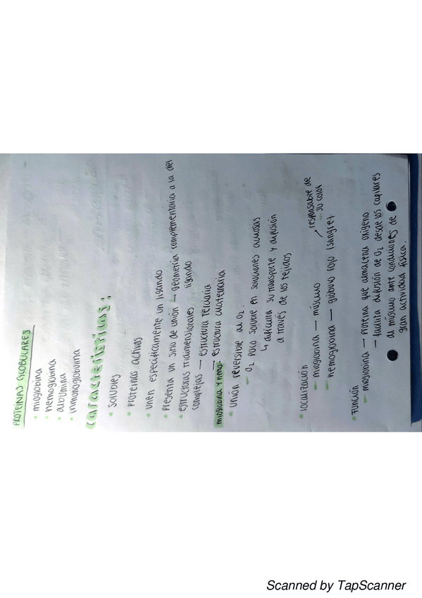 Miniatura del documento TapScanner-11-01-2021-15.pdf