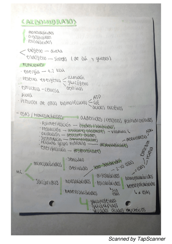 Miniatura del documento TapScanner-11-01-2021-15.pdf