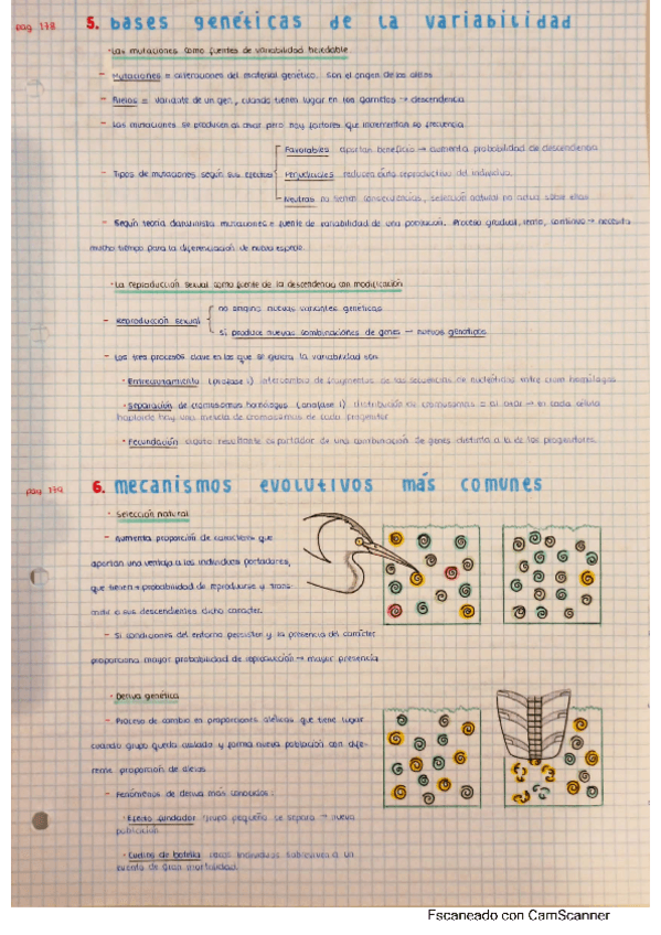 Miniatura del documento LA-EVOLUCION-BASES-GENETICAS-DE-LA-VARIABILIDAD.pdf
