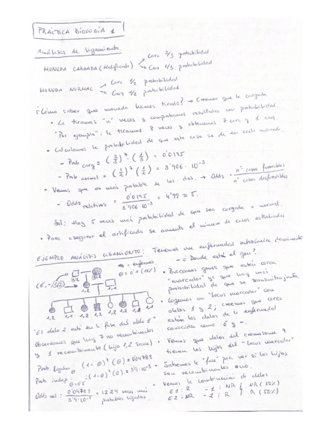 Miniatura del documento Problemas-genetica.pdf