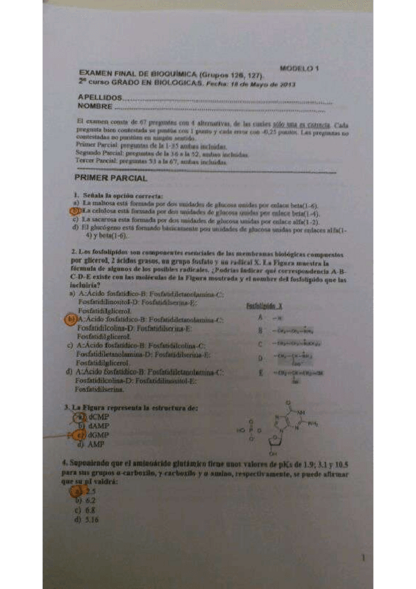 Miniatura del documento 1.pdf