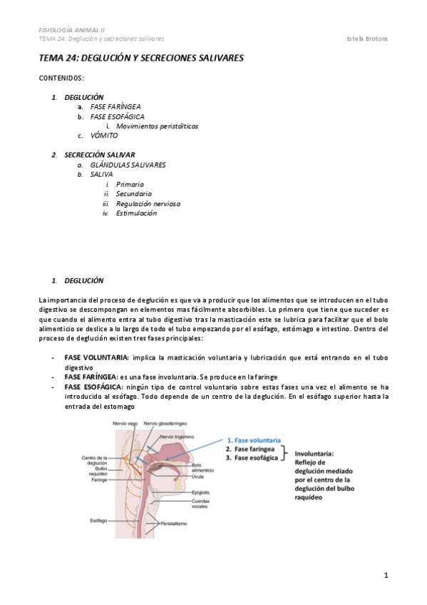 Miniatura del documento TEMA-24.pdf