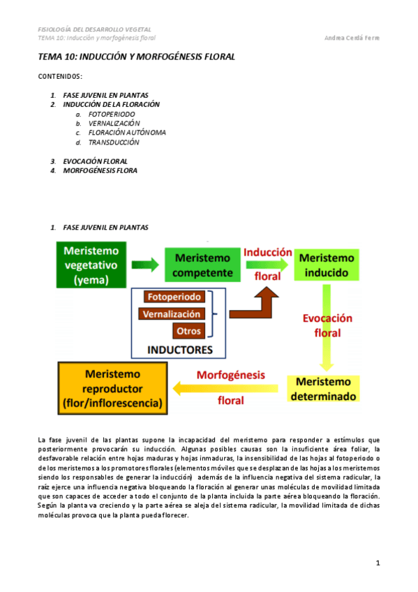 Miniatura del documento TEMA-10.pdf
