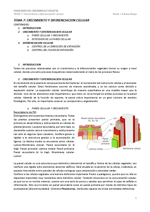 Miniatura del documento TEMA-7-.pdf