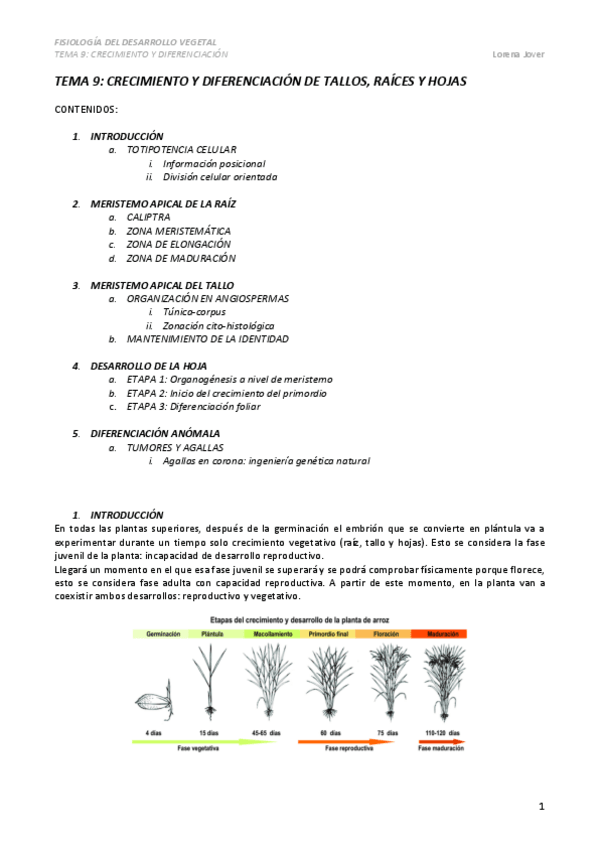 Miniatura del documento TEMA-9.pdf
