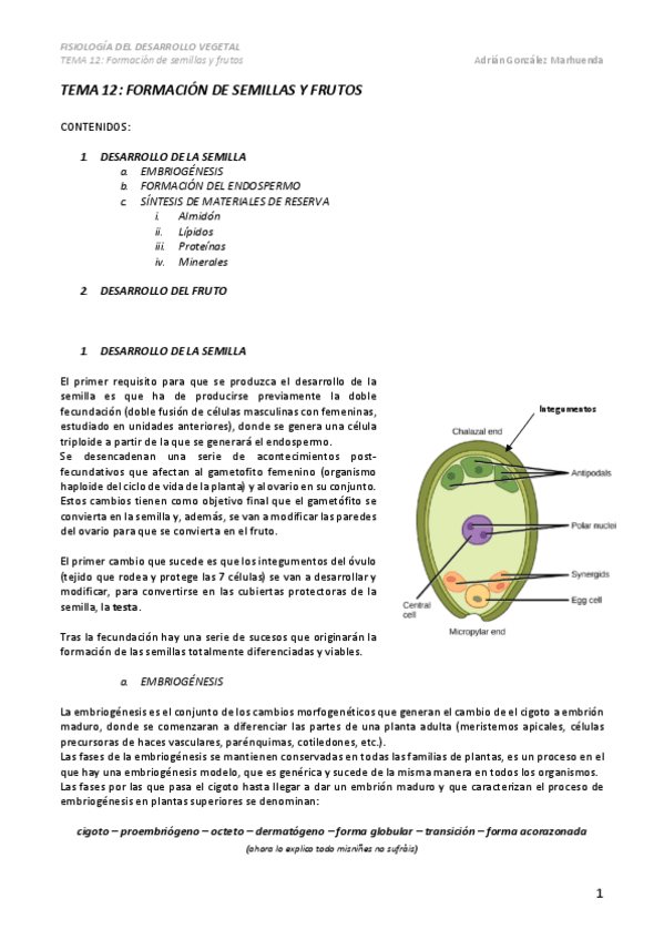 Miniatura del documento TEMA-12.pdf