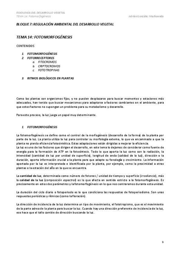 Miniatura del documento TEMA-14.pdf