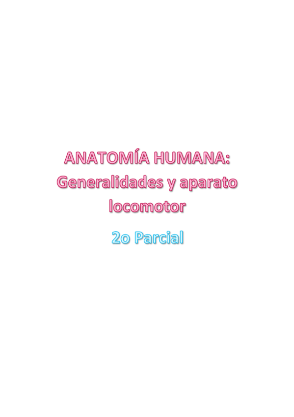 Miniatura del documento 2o-Parcial-Anatomia-Humana.pdf