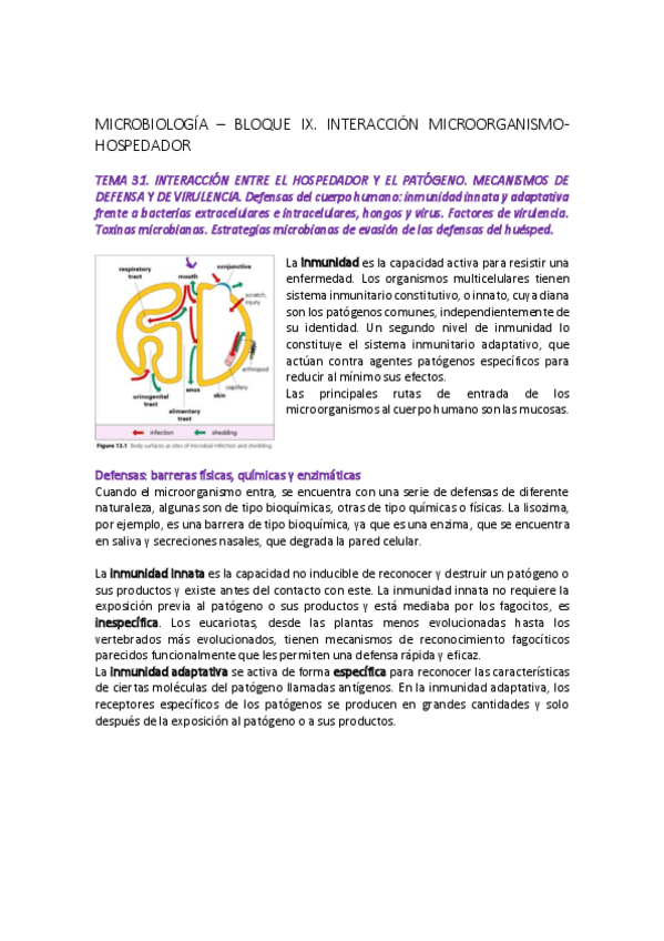 Miniatura del documento MICROBIOLOGIA-tema-31.pdf