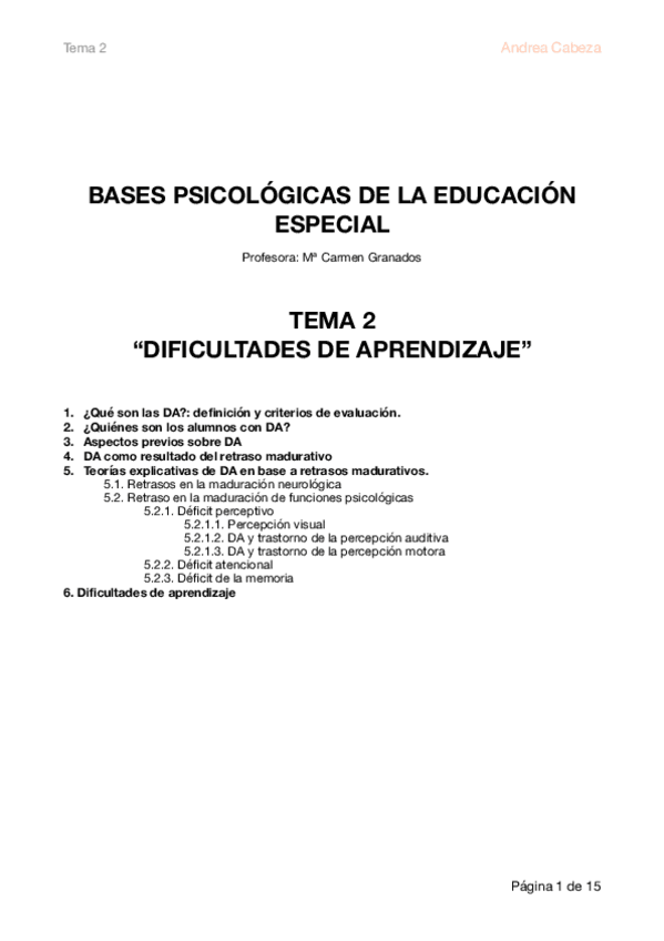 Miniatura del documento BASES-2.pdf
