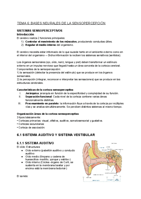 Miniatura del documento Bloque-III-SISTEMAS-SENSOPERCEPTIVO-Y-SENSITIVOMOTOR.pdf
