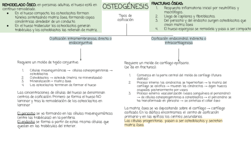 Miniatura del documento apuntes-histologia.pdf