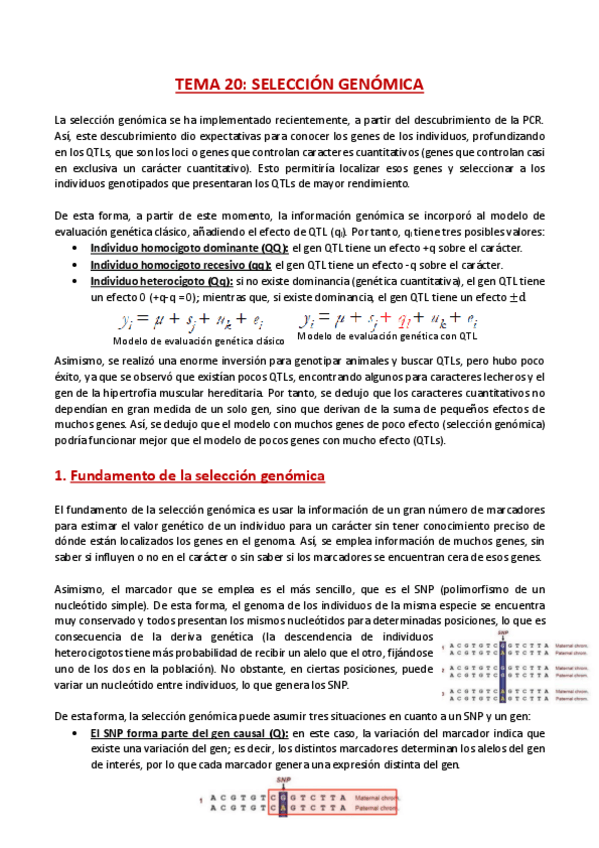 Miniatura del documento TEMA-20-Mejora-genetica.pdf