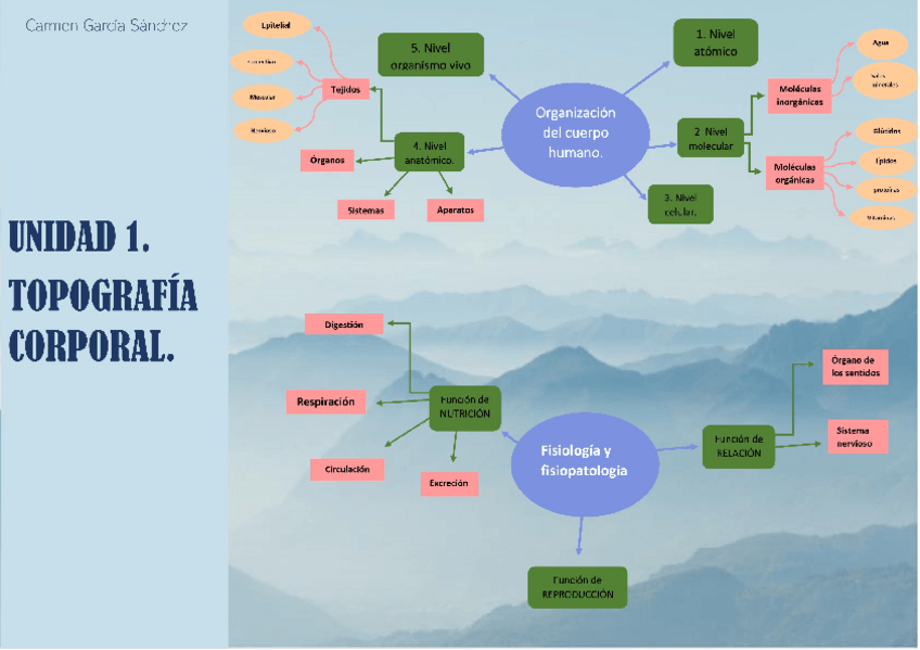 Miniatura del documento Mapa-conceptual-tema-1-Carmen.docx