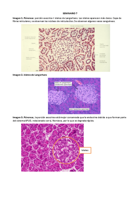 Miniatura del documento SEMINARIO-7.pdf