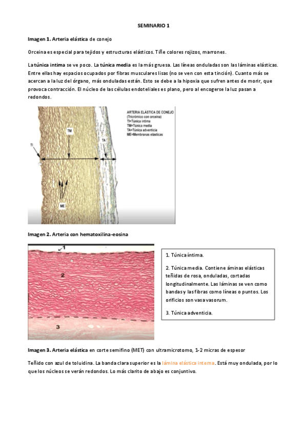 Miniatura del documento SEMINARIO-1-.pdf