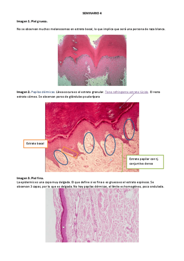 Miniatura del documento SEMINARIO-4.pdf