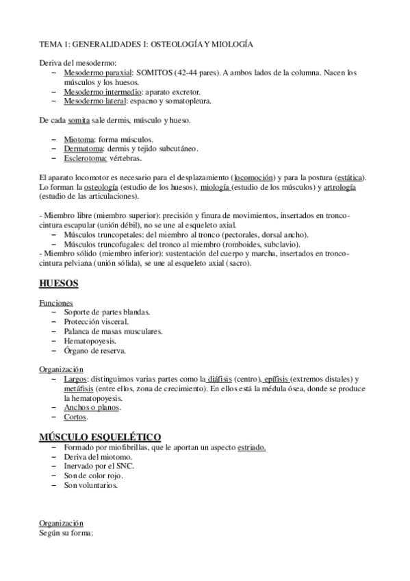 Miniatura del documento ANATOMIA II (PRIMER PARCIAL).pdf