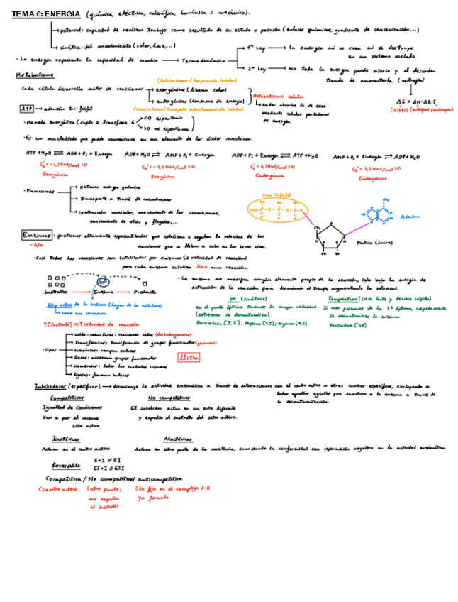 Miniatura del documento Resum-Parcial-2-Bio.pdf