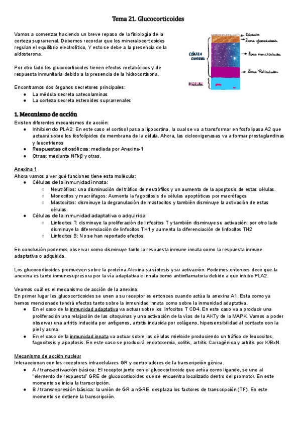 Miniatura del documento Tema-21-Documentos-de-Google.pdf