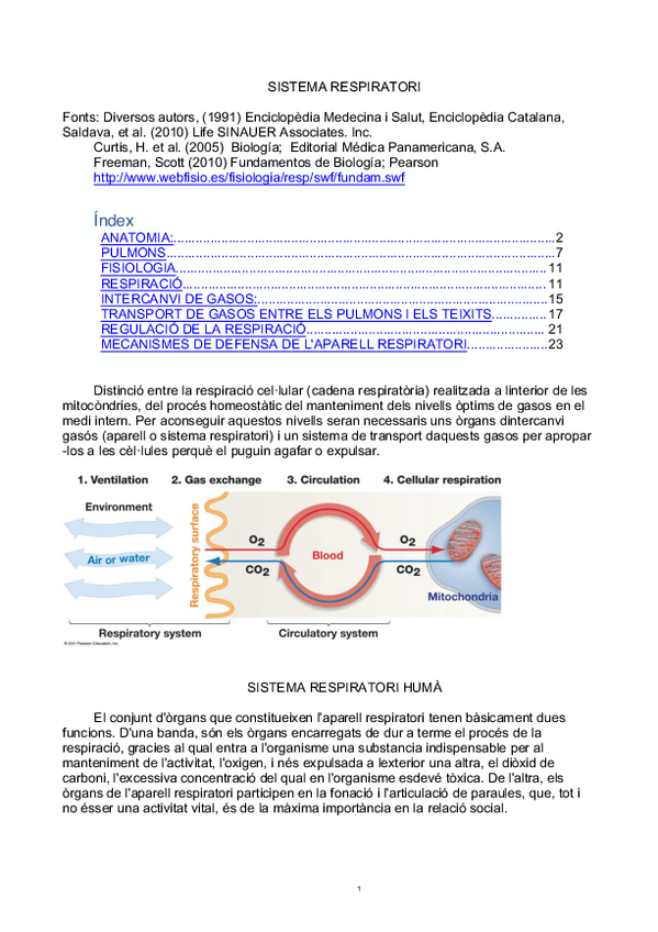 Miniatura del documento TEMA-3-SISTEMA-RESPIRATORI-.pdf