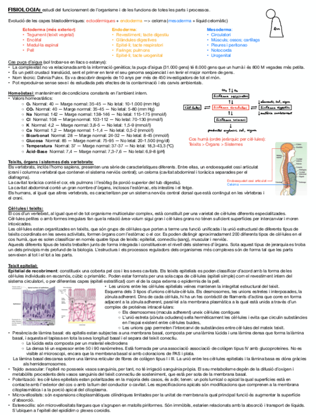 Miniatura del documento Tema-1-RESUM-FISIO.pdf