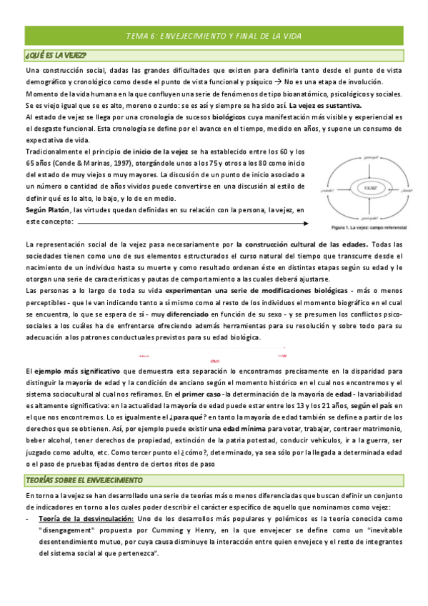 Miniatura del documento TEMA-6-COMPLETO.pdf