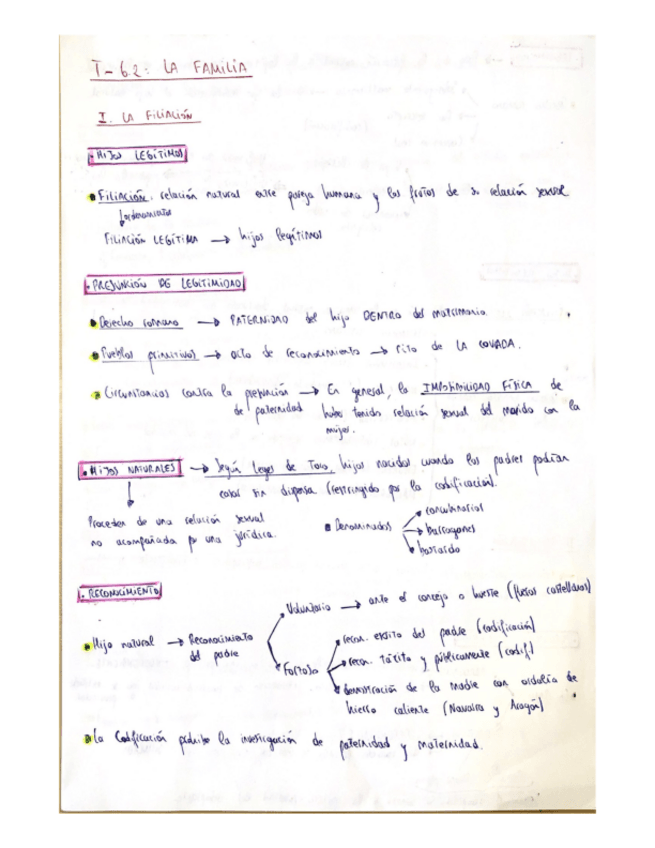 Miniatura del documento T-6.2: La familia.pdf 