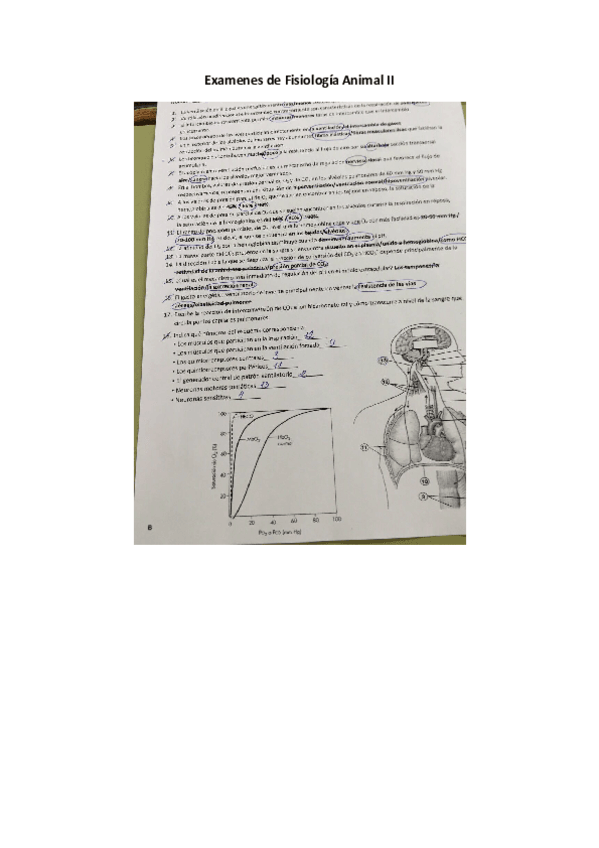 Miniatura del documento Examenes de Fisiología Animal II.pdf