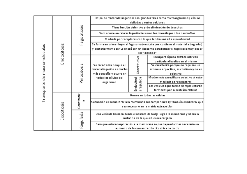 Miniatura del documento Tabla-resumen-de-transporte-celular-de-macromoleculas.pdf