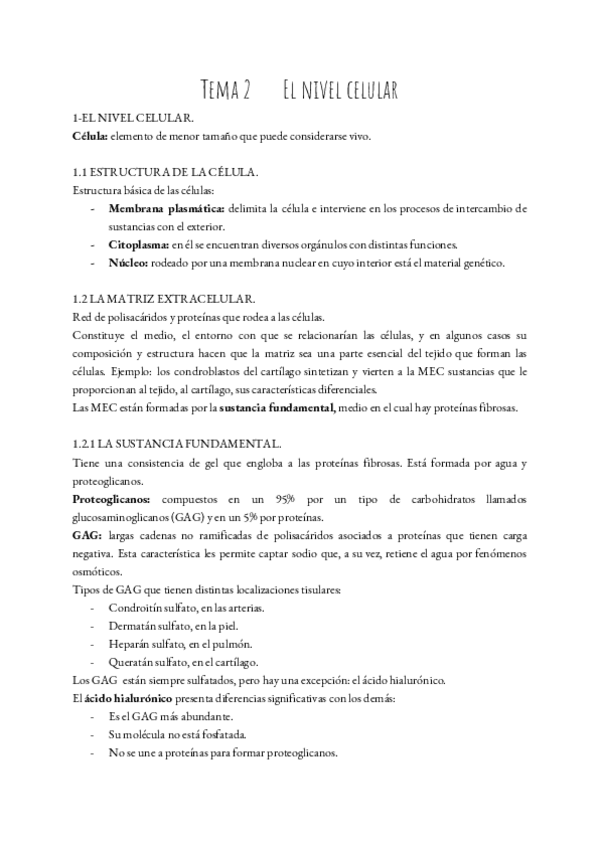 Miniatura del documento FSP-T.pdf