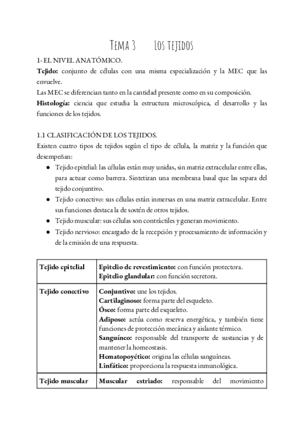 Miniatura del documento FSP-T.pdf