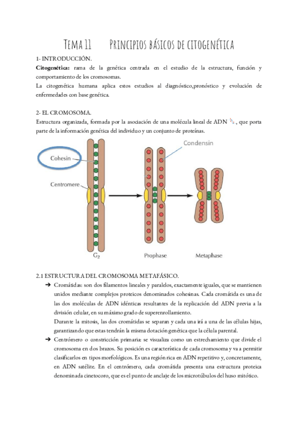 Miniatura del documento BMC-T.pdf